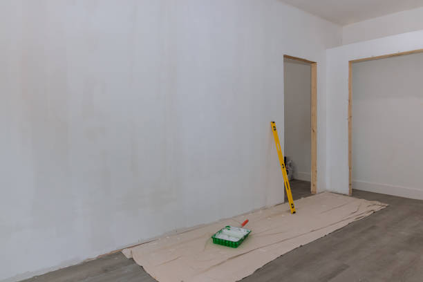 Best Drywall Installation  in Mount Carmel, TN